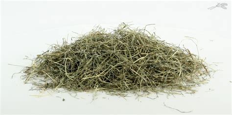 hooi  kg wwwkattengritcom