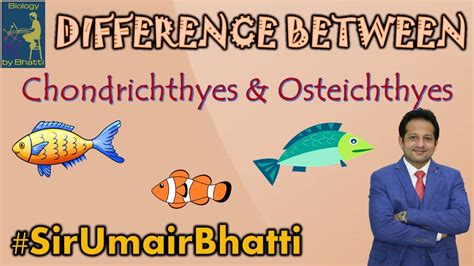 Difference Between Chondrichthyes And Osteichthyes Sirumairbhatti