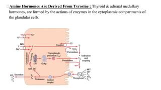 Introduction to hormones | PPT