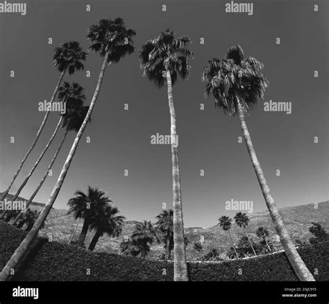 Palm Springs Neighborhood Palm Springs California Stock Photo Alamy