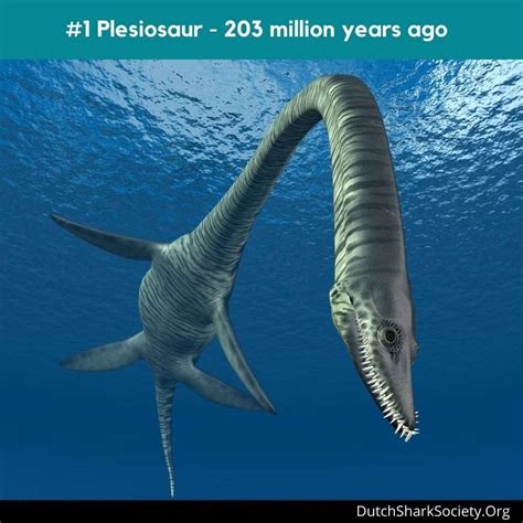 Extinct Animals In The Last 1000000 Years
