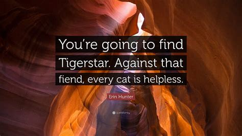 Erin Hunter Quote Poor Cinderpaw Ll Think She S Being Stalked By