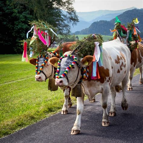 German Culture And Tradition