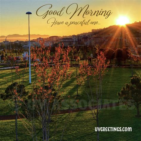 Beauty Of Nature 20 Images With Morning Wishes Uvgreetings