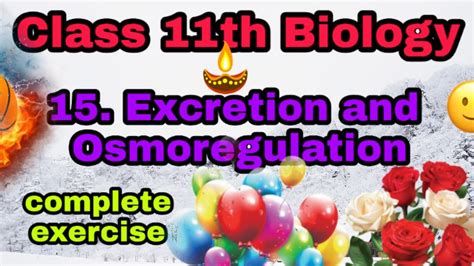 Class 11th Biology 15 Excretion And Osmoregulation Exercise Youtube