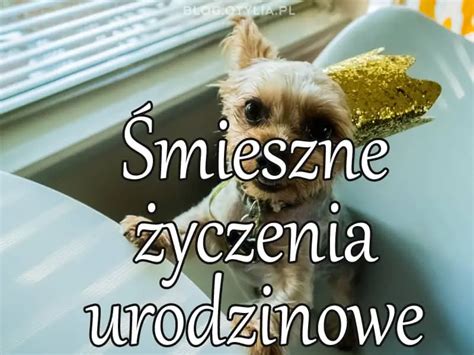 Mieszne Yczenia Urodzinowe Yczenia Urodzinowe Mieszne