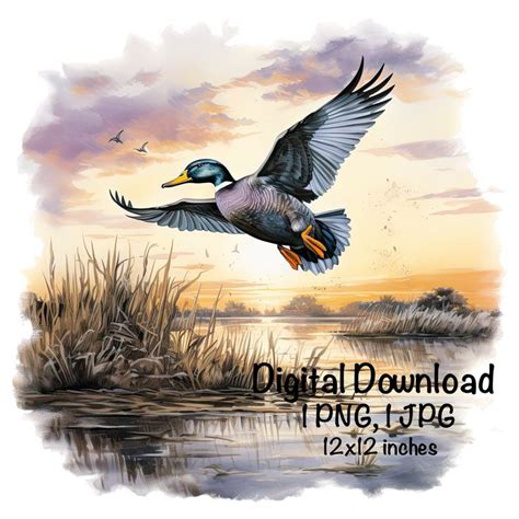 Mallard Duck Png Wild Duck Sublimation Png Mallard Duck Sublimation