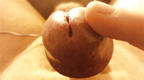 Cockhead Porn Pictures XXX Photos Sex Images 1010142 PICTOA