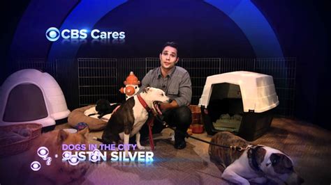 Dogs In The City Dogs In The Citys Justin Silver Speaks To Pet