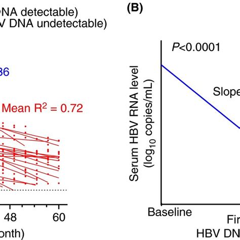 Biphasic Decline Of Serum Hbv Rna During Nas Therapy A The Fitted