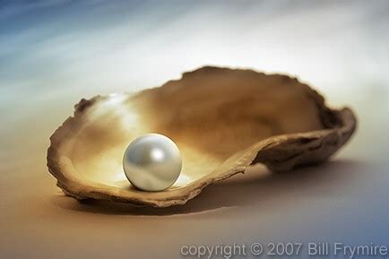 pearl in oyster shell