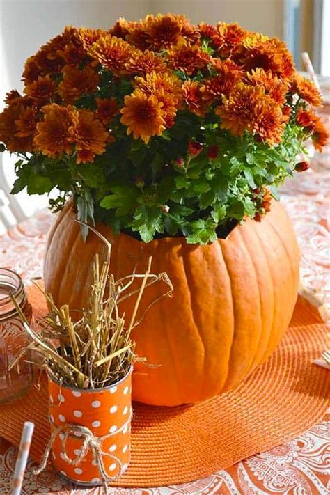 30 Fabulous Outdoor Fall Party Decorating Ideas