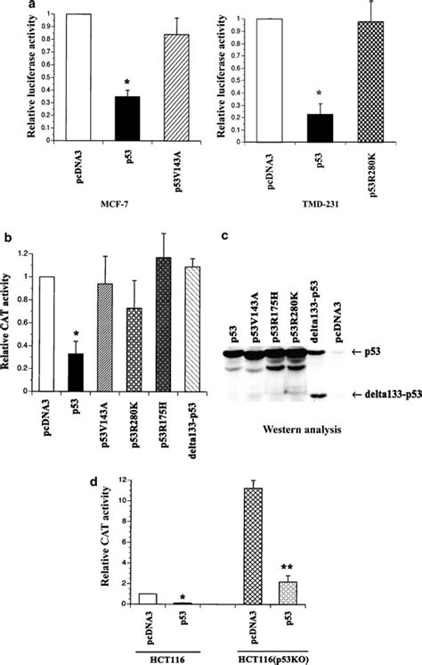 Wild Type P53 But Not Cancer Specific Mutant Isoform Of P53 Represses