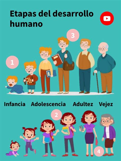 Etapas Del Desarrollo Humano