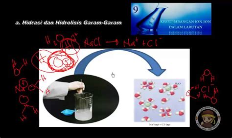 Kesetimbangan Ion Hidrasi Dan Hidrolisis Garam Garam YouTube