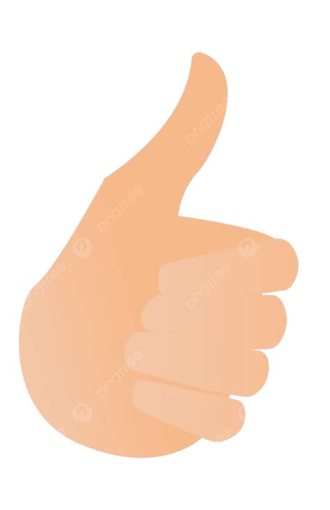 Thumbs Up Isolated Vector Art Png Human Hand With Thumb Up Vector