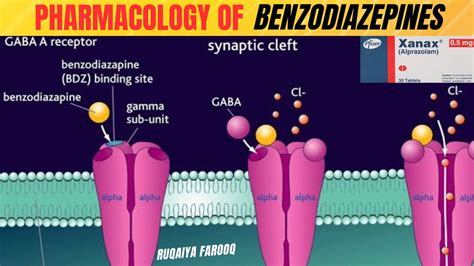 Pharmacology Of Benzodiazepine Mechanism Of Action Uses And ADRs YouTube