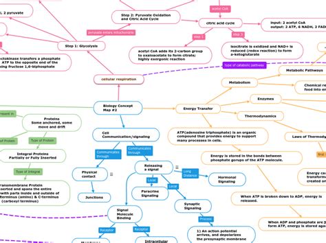 Biology Concept Map 2 Mind Map