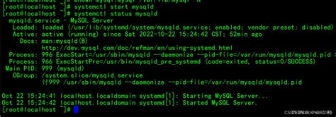 Linux下安装MySQL rpm安装 linux 安装mysqldump CSDN博客