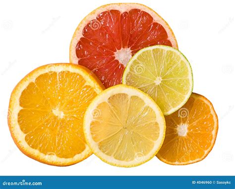 Sliced Citrus Fruits Stock Photo Image Of Appetizing 4046960