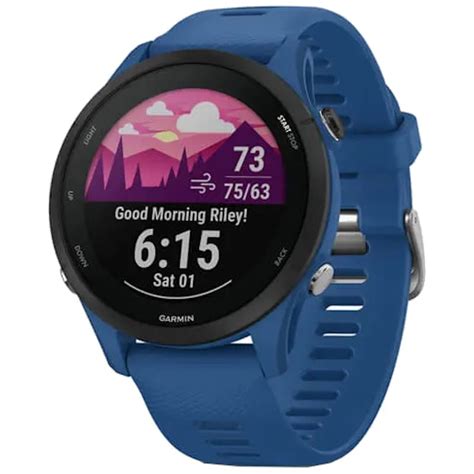 Comprar Garmin Forerunner 255 Azul Treinamento diário