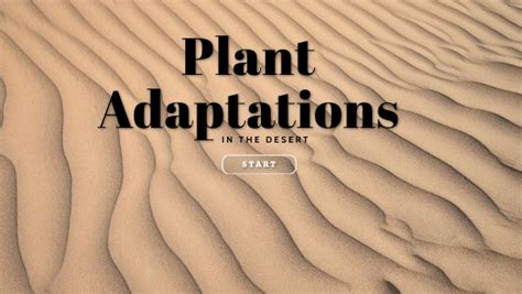 Desert Plant Adaptations