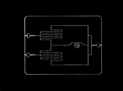 Microfluidic Devices: Definition and Types | Citrogene