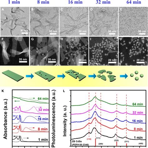 Ripening Process Of The 2d Cdse Nanosheets Synthesized In The Presence