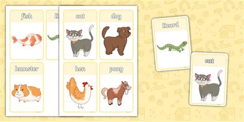 Pet Animals Flashcards (teacher made) - Twinkl