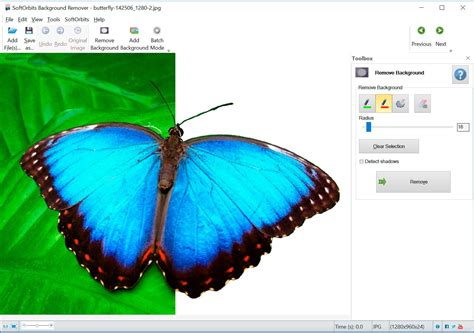 Automatic Photo Background Remover Software Free Download For Pc