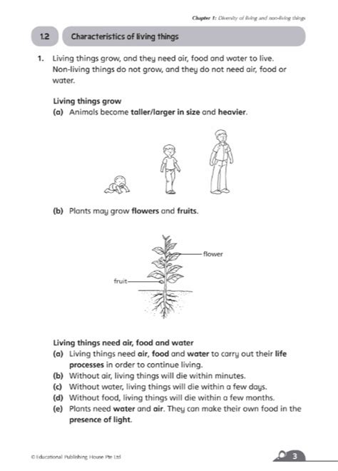 Primary 3 Complete Science Essentials | OpenSchoolbag