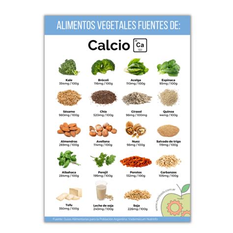 Infografia Alimentos Fuente De Calcio Nutritools