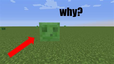 Why Do Slimes Spawn In Superflat Worlds Youtube