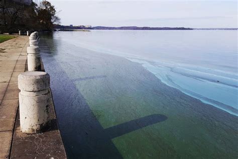 Lake Mendota - Clean Lakes Alliance