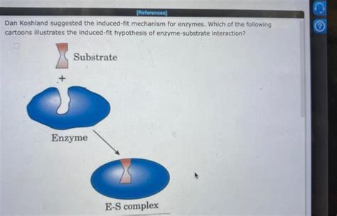 G Dan Koshland Suggested The Induced Fit Mechanism For Enzymes Which