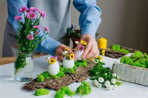 Baumrinde Typen Krankheiten Pilze Dekorationsideen Und Mehr