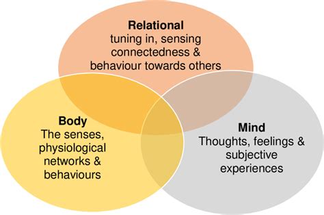 The Three Dimensions Of Human Experience Constituting Our Reality