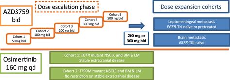 Osimertinib In The Treatment Of Patients With Epidermal Growth Factor