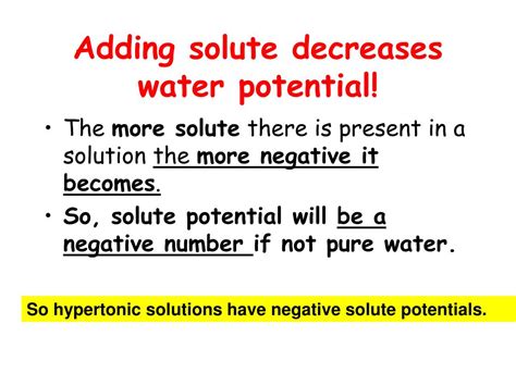 Ppt What Is Water Potential Powerpoint Presentation Free Download