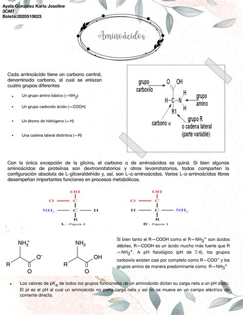 Aminoacidos Material de repaso bioquímica Aminoácidos Cada