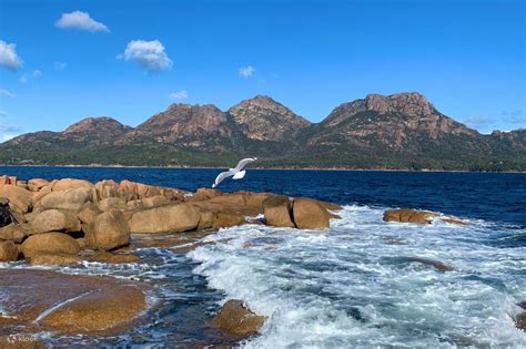 Iconico Tour Di Un Giorno Della Costa Orientale Da Hobart Klook Stati