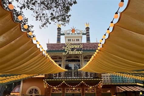 Canadian Man Arrested For Wandering Disneyland Completely Naked