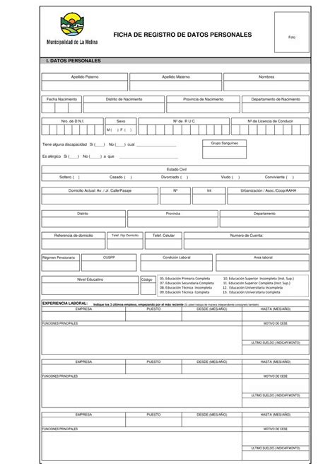 Pdf Ficha De Datos Municipalidad Distrital De La Molina