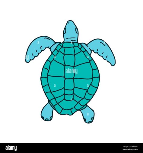 Sea Turtle Swimming Drawing Stock Photo Alamy