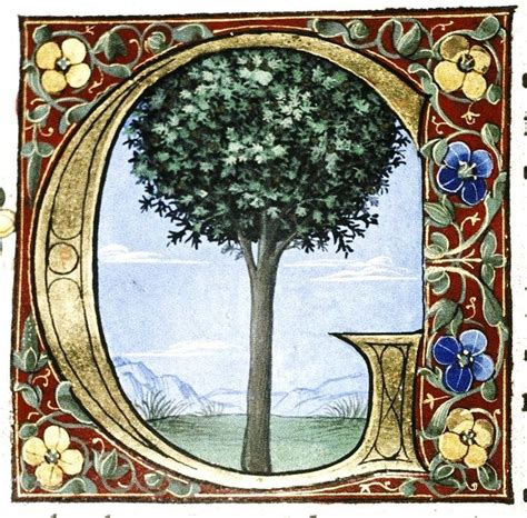 Illuminated Letter G Douce Pliny Florentine Venice 1476