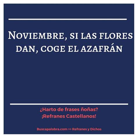 Refranes Y Frases De Noviembre Refranes Y Frases Que Hablan Sobre