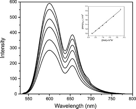 Emission Spectrum Of Eb Bound To Dna In The Presence Of Complex 1 Eb