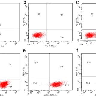 Immunophenotypic Characterization Of HUC MSCs By Flow Cytometry No