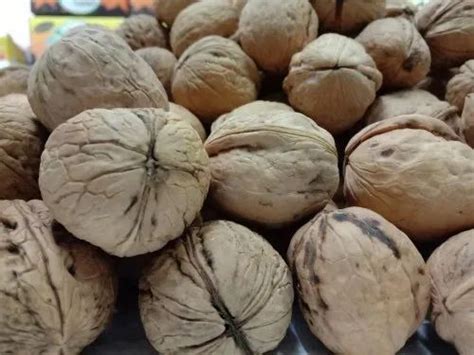 Kashmiri Shell Walnuts Packaging Type Loose At Rs 435 Kg In New Delhi