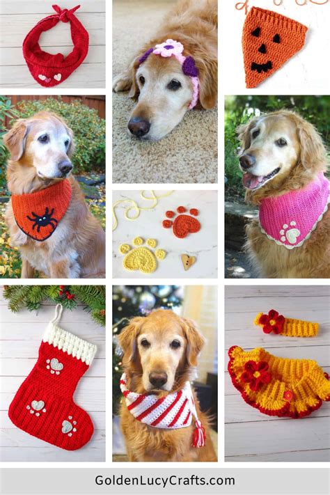 Crochet Patterns For Dogs Design By Goldenlucycrafts